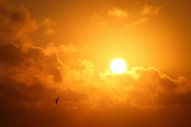 高溫暴擊！西安下周一氣溫或超40°C！網友：這才5月中旬啊(圖2)