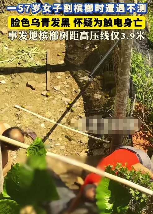海南突發(fā)！一女子割檳榔時(shí)遇不測(cè)臉發(fā)黑家屬發(fā)聲介入(圖1)