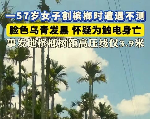 海南突發(fā)！一女子割檳榔時(shí)遇不測(cè)臉發(fā)黑家屬發(fā)聲介入(圖2)