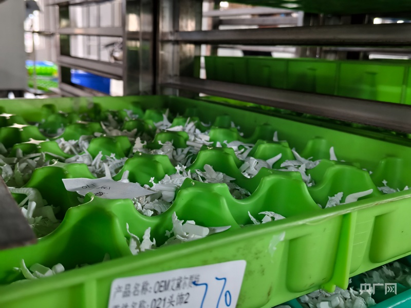 南方電網(wǎng)貴州電網(wǎng)公司“十四五”交出能源惠民答卷(圖4)