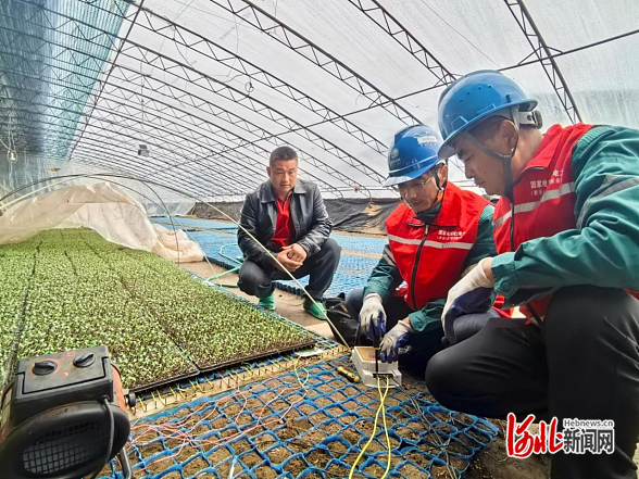 國網(wǎng)石家莊供電公司：全力應(yīng)對降雪天氣保障電力可靠供應(yīng)(圖6)