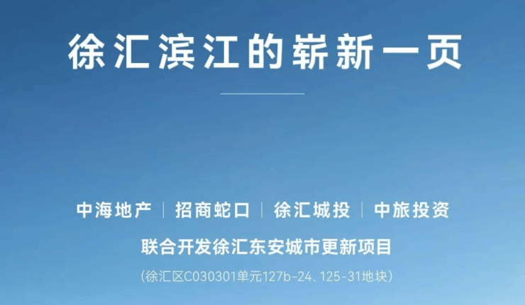 安瀾上海(安瀾上海)售樓處-最新動態(tài)丨樓盤簡介-戶型配套-徐匯濱江戶型圖(圖12)